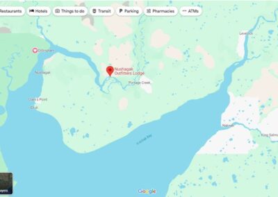 Google Maps