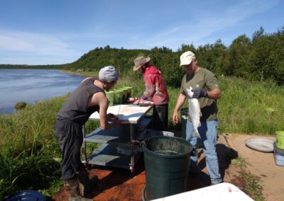 Alaska salmon fishing vacation