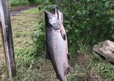 Alaska fishing trips 2026