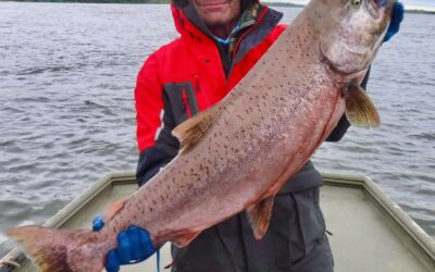Is King Salmon Fishing in Alaska Really the Best in the World?
